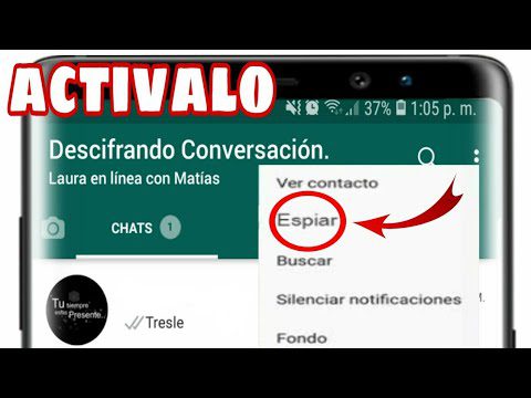 ¿Cómo saber si una persona está hablando con otra por WhatsApp?