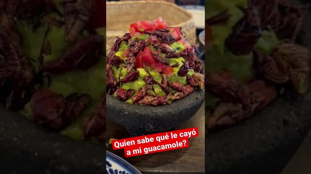 Qué significa Chapulin en Monterrey