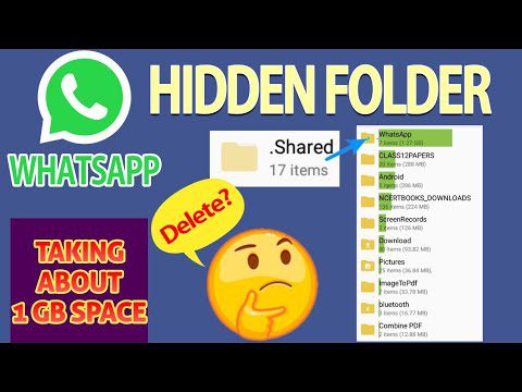 que son los archivos de la carpe Qué son los archivos de la carpeta Shared en WhatsApp