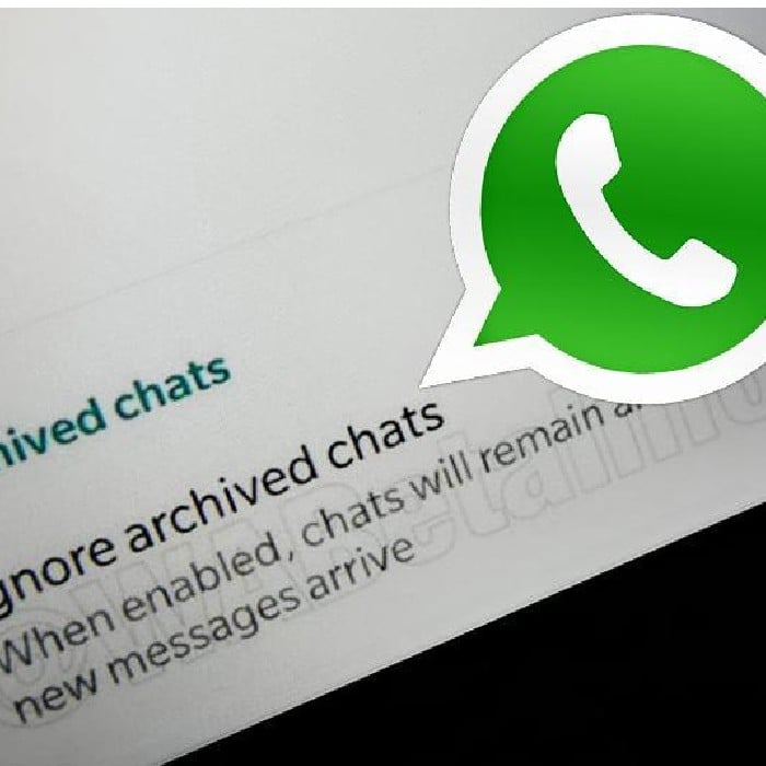 Cómo puedo ver los archivos Database de WhatsApp