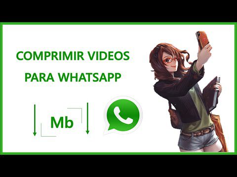 cual es el peso maximo de video Cuál es el peso máximo de video para WhatsApp