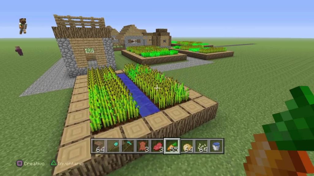 Cuánto tiempo tarda en crecer las zanahorias en Minecraft