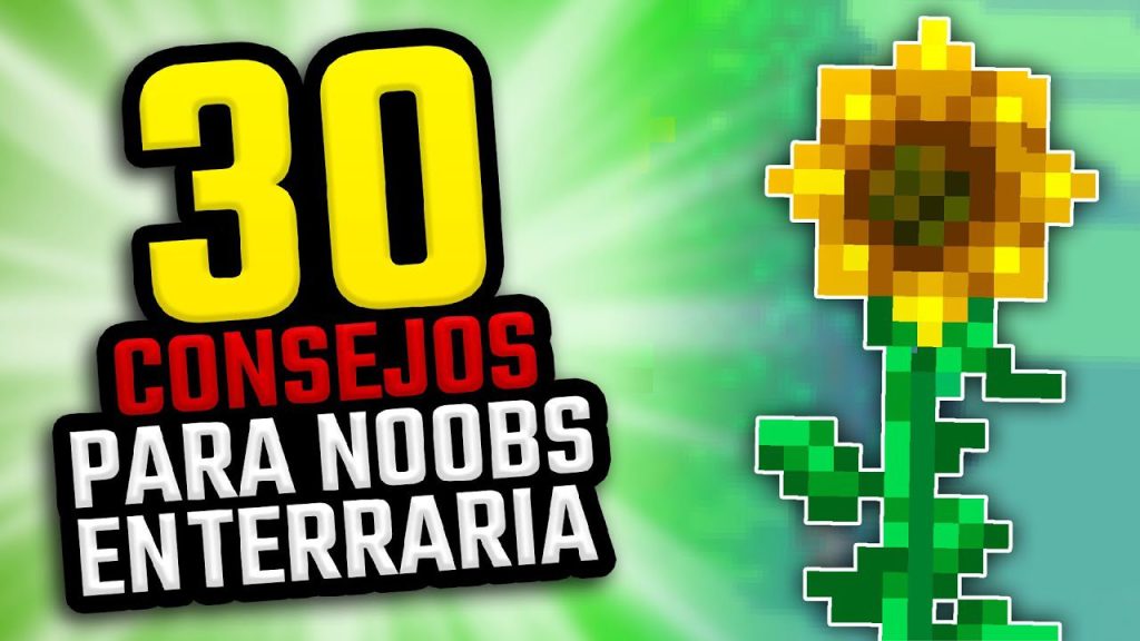 Cuál es el objetivo de Terraria