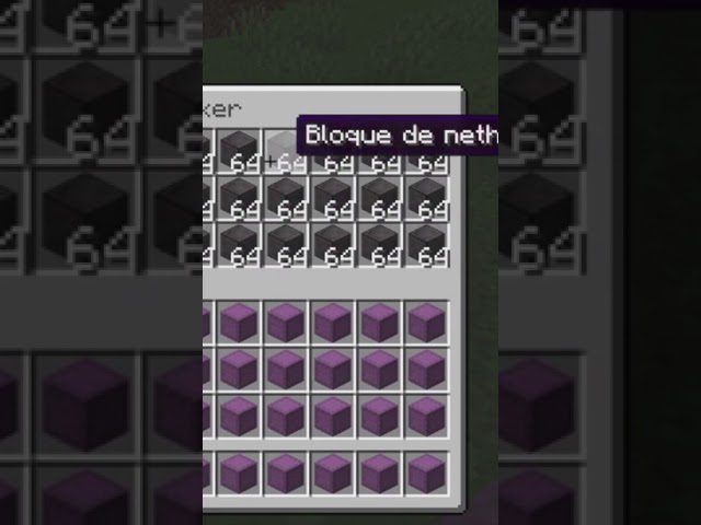 Cuántos kilos puede llevar Steve de Minecraft