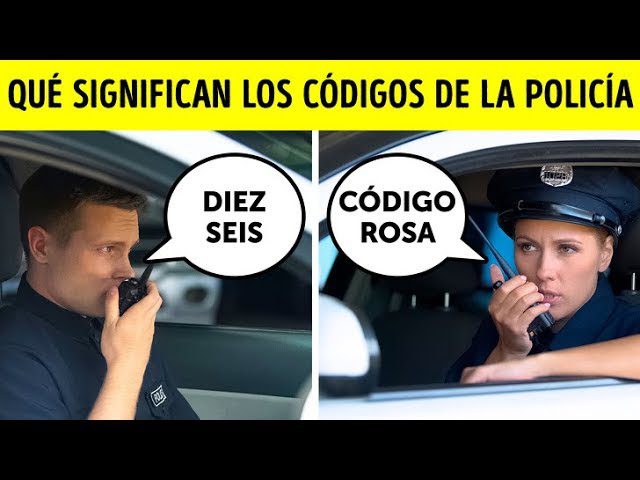 Qué es 969 en la policía