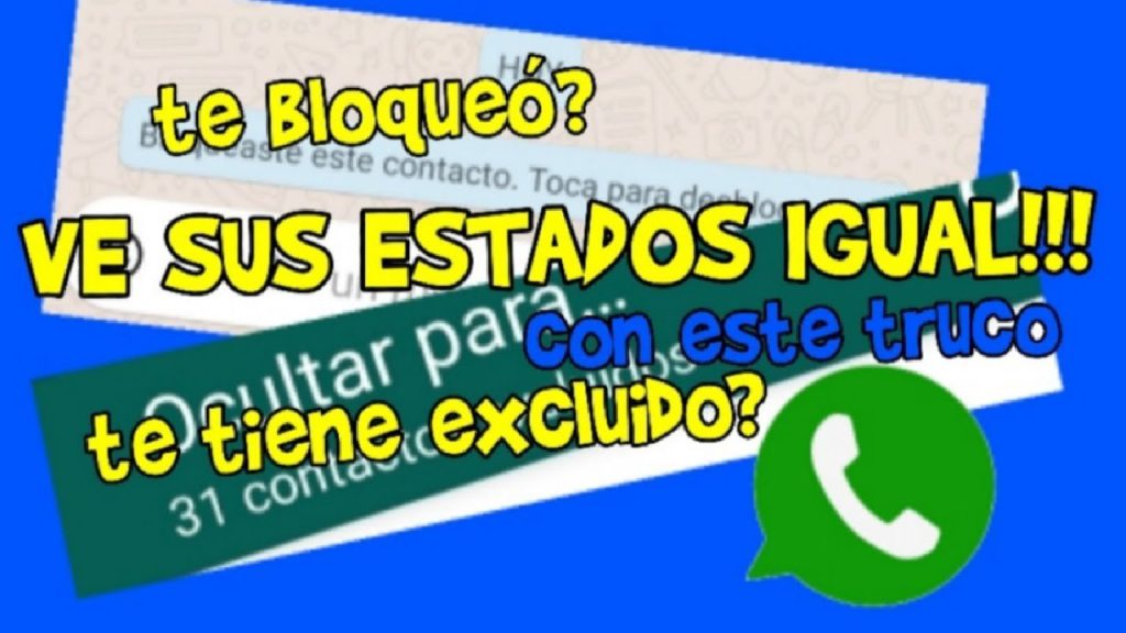 Cómo puedo ver los estados que me ocultan en WhatsApp Plus