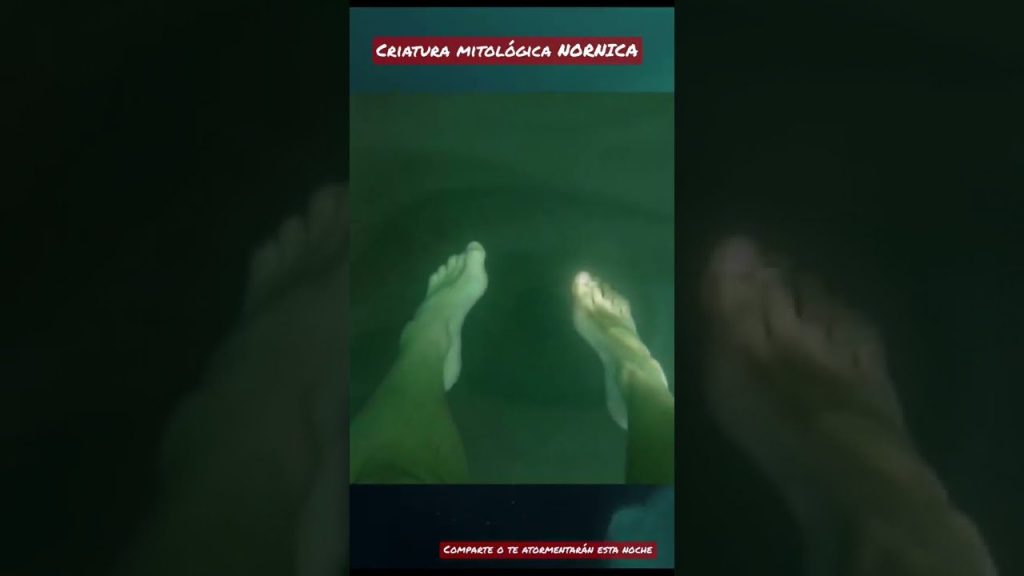 Cuánto pesa el Kraken