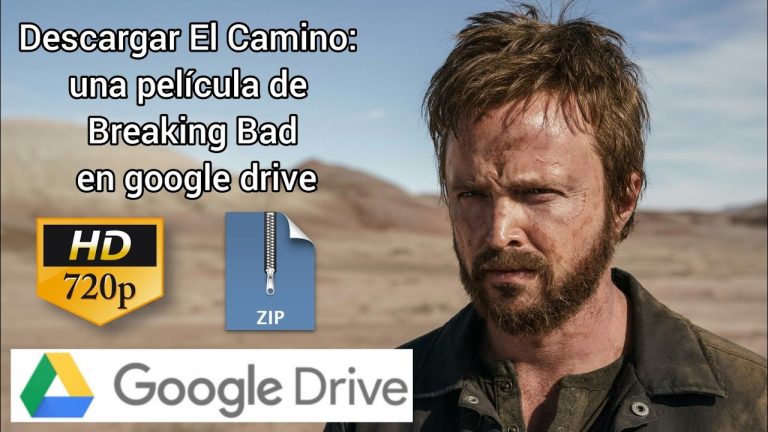 Descargar la película El Camino en Mediafire