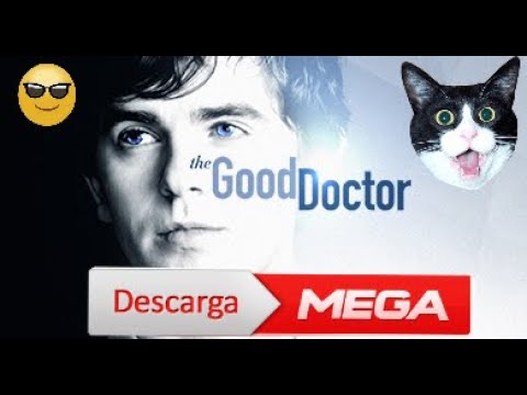 Descargar la serie Temporada 6 The Good Doctor en Mediafire