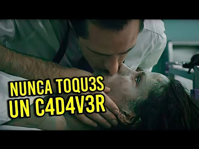 Descargar la película Cuerpo Y Alma Película en Mediafire