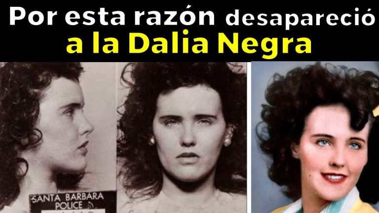 Descargar la película Dalia La Negra en Mediafire