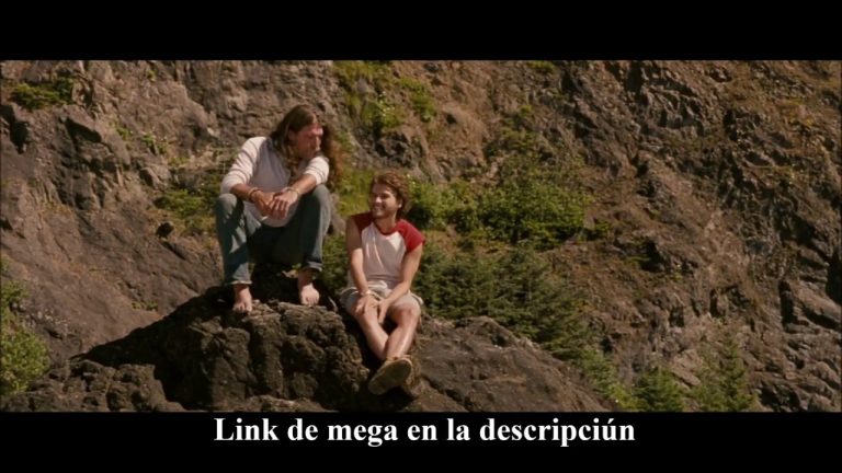 Descargar la película Into De Wild en Mediafire