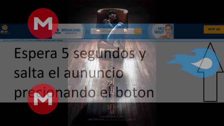 Descargar la película Olbidado en Mediafire