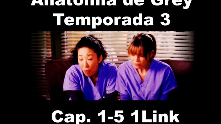 Descargar la serie Anatomia De Grey 19X17 Online en Mediafire