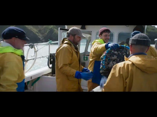 Download the FishermanS Friends movie from Mediafire Download the Fisherman'S Friends movie from Mediafire