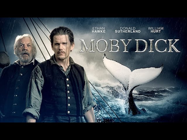 Download the Into The Heart Of The Sea movie from Mediafire Download the Into The Heart Of The Sea movie from Mediafire