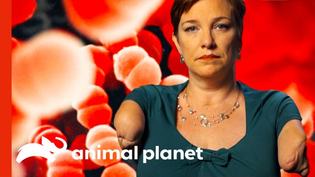 Download the Monsters Inside Me series from Mediafire Download the Monsters Inside Me series from Mediafire