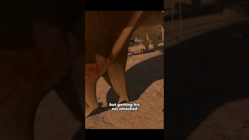 Download the What Is Madagascar 2 On movie from Mediafire Download the What Is Madagascar 2 On movie from Mediafire