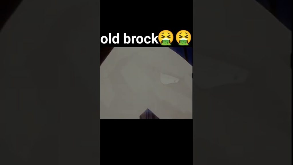 Download the Big Brother Brazil Cast 2023 series from Mediafire Download the Big Brother Brazil Cast 2023 series from Mediafire