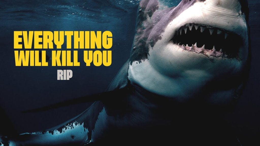 Download the If You Die On Me ILl Kill You movie from Mediafire Download the If You Die On Me I'Ll Kill You movie from Mediafire