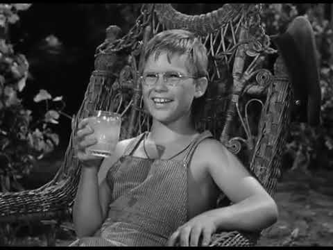 Download the Member Of The Wedding Film movie from Mediafire Download the Member Of The Wedding Film movie from Mediafire