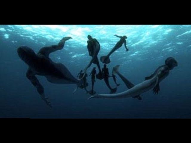Download the Mermaids Found Documentary movie from Mediafire Download the Mermaids Found Documentary movie from Mediafire