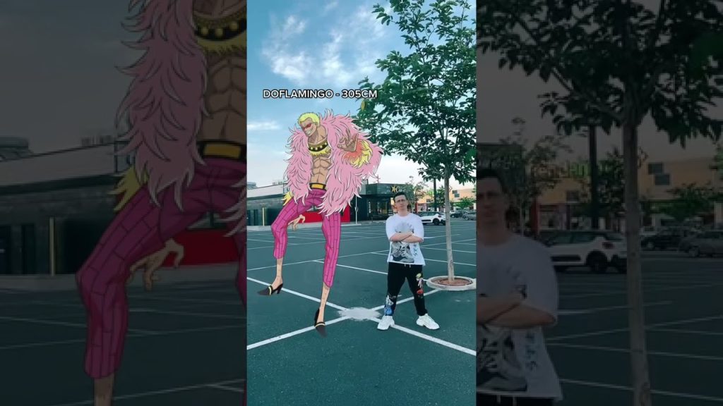 Download the One Piece Ep 81 series from Mediafire Download the One Piece Ep 81 series from Mediafire