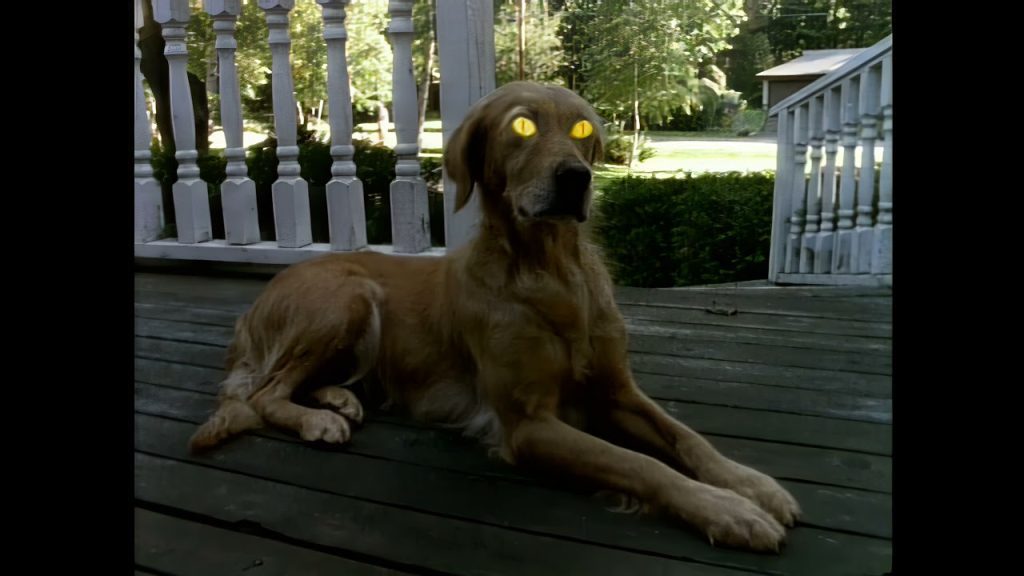 Download the Original Goosebumps Streaming series from Mediafire Download the Original Goosebumps Streaming series from Mediafire