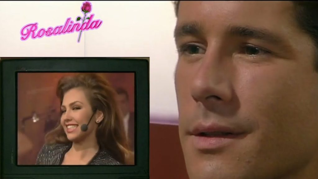 Download the Paloma Dorantes series from Mediafire Download the Paloma Dorantes series from Mediafire