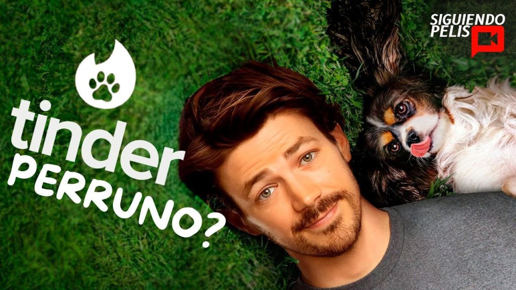 Download the Puppy Love 2023 movie from Mediafire Download the Puppy Love 2023 movie from Mediafire