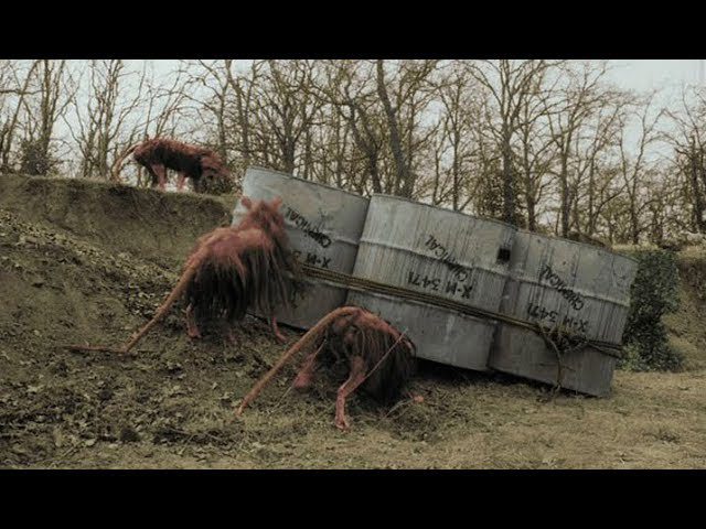 Download the Return Of The Killer Shrews Cast movie from Mediafire Download the Return Of The Killer Shrews Cast movie from Mediafire