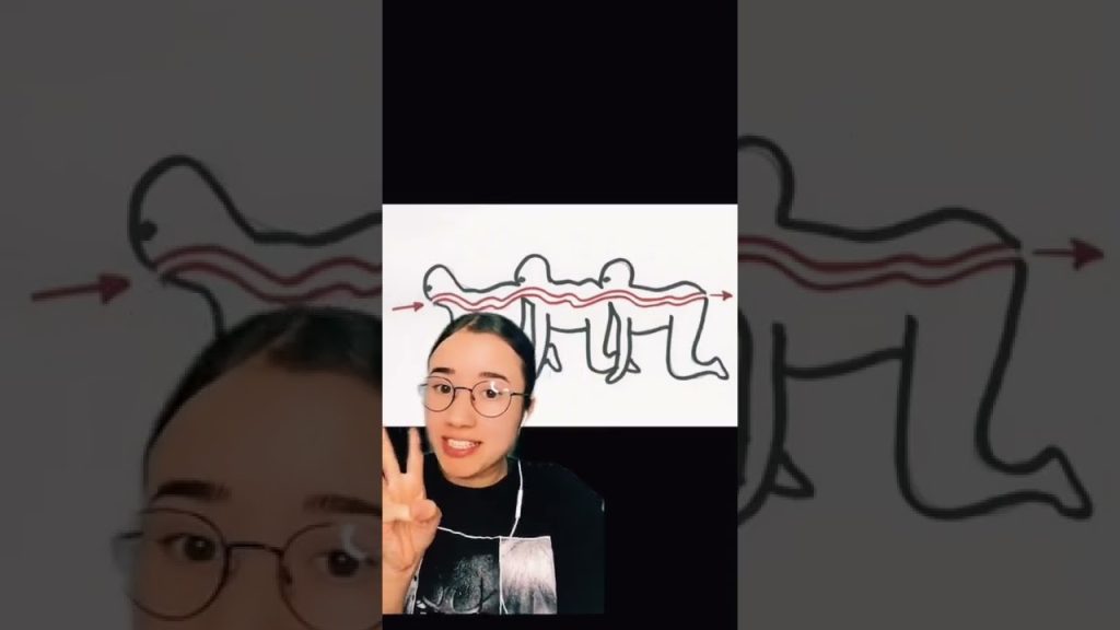 Download the Streaming The Human Centipede movie from Mediafire Download the Streaming The Human Centipede movie from Mediafire