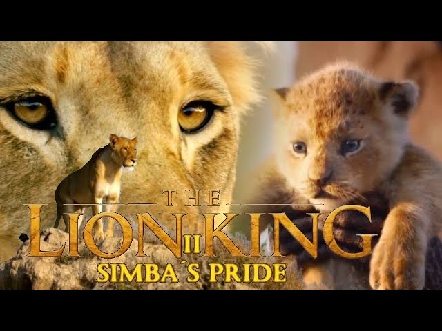 Download the The Lion King 2 SimbaS Pride Full movie from Mediafire Download the The Lion King 2 Simba'S Pride Full movie from Mediafire