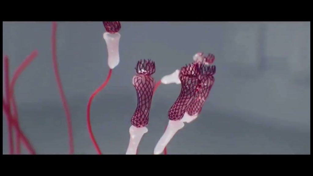 Download the American Horror Stories Season 3 Cast Daphne series from Mediafire Download the American Horror Stories Season 3 Cast Daphne series from Mediafire