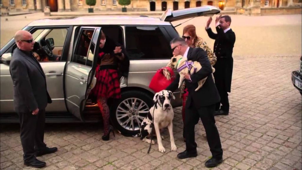 Download the Cast Of The Tv Show The Royals series from Mediafire Download the Cast Of The Tv Show The Royals series from Mediafire