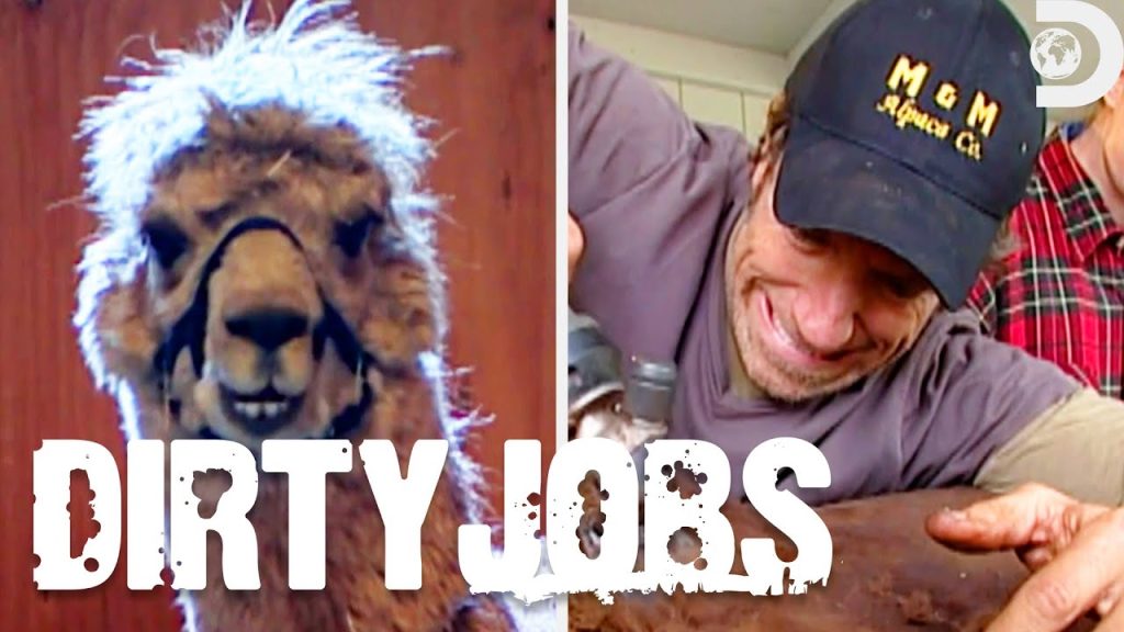 Download the Dirty Jobs Full Episodes series from Mediafire Download the Dirty Jobs Full Episodes series from Mediafire