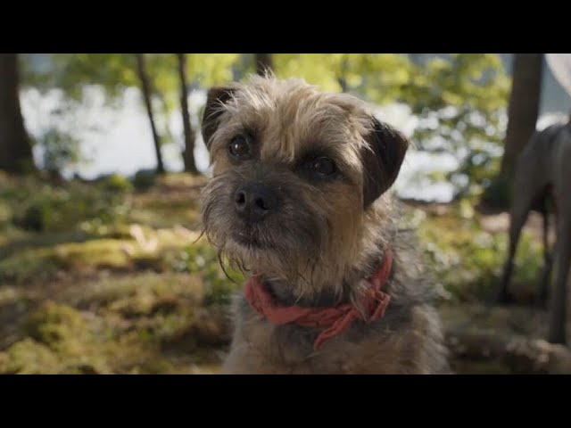 Download the Dtrays movie from Mediafire Download the Dtrays movie from Mediafire