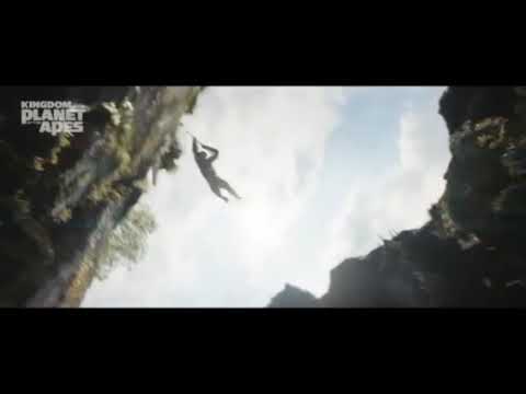 Download the Kingdom Of The Planet movie from Mediafire Download the Kingdom Of The Planet movie from Mediafire