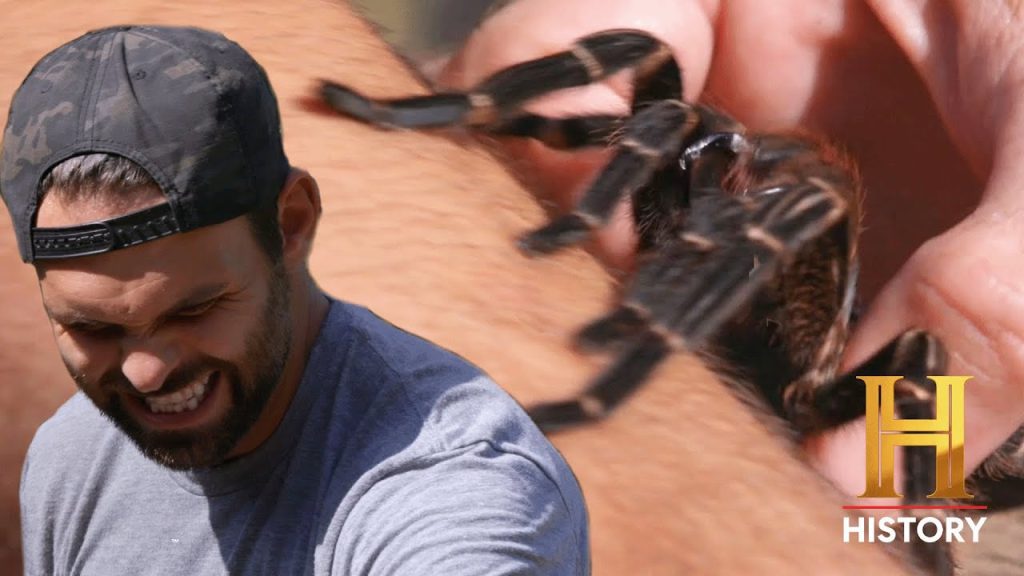 Download the Kings Of Pain Season 4 series from Mediafire Download the Kings Of Pain Season 4 series from Mediafire