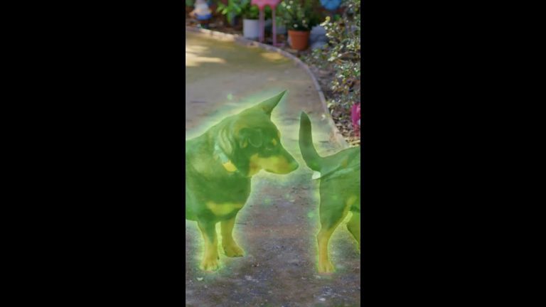 Download the Laika Dog movie from Mediafire