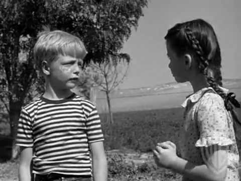 Download the Our Vines Have Tender Grapes Book movie from Mediafire Download the Our Vines Have Tender Grapes Book movie from Mediafire