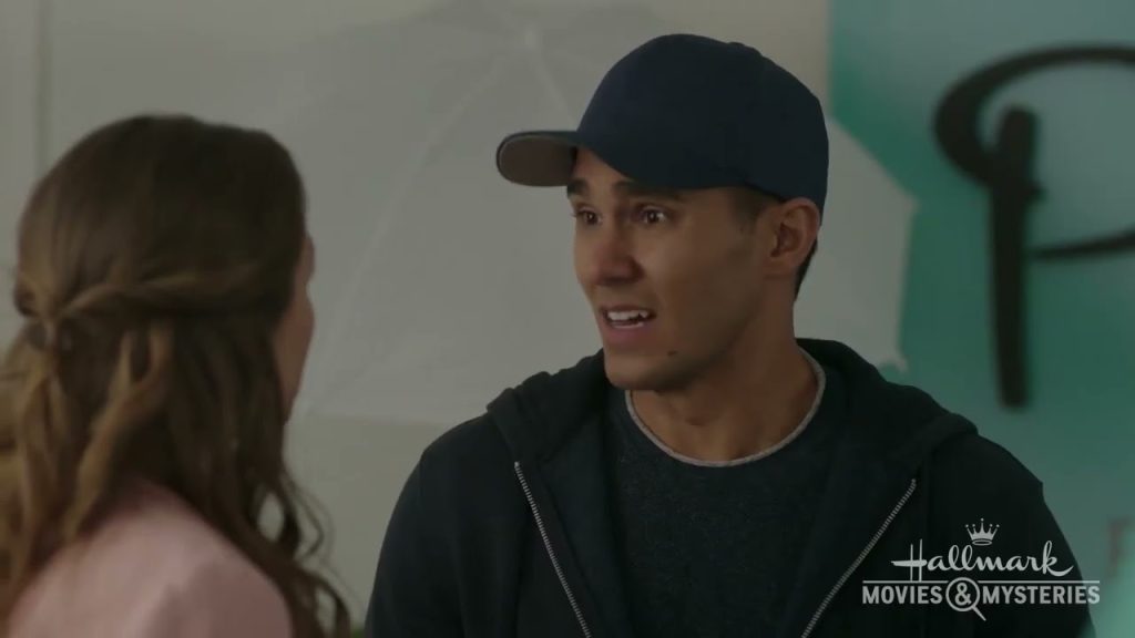 Download the Picture Perfect Mysteries Moviess In Order series from Mediafire