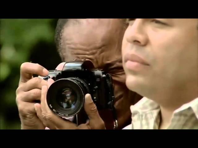 Download the Supervolcano Yellowstone movie from Mediafire Download the Supervolcano Yellowstone movie from Mediafire