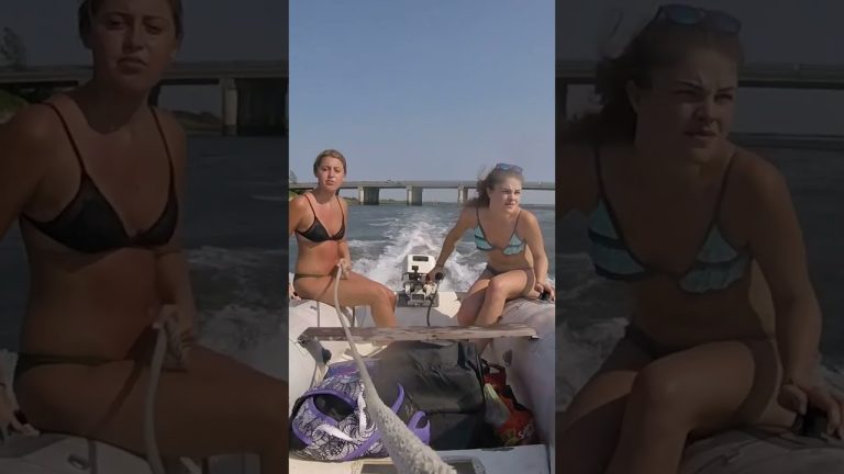 Download the Watch Bering Sea Gold Online Free series from Mediafire