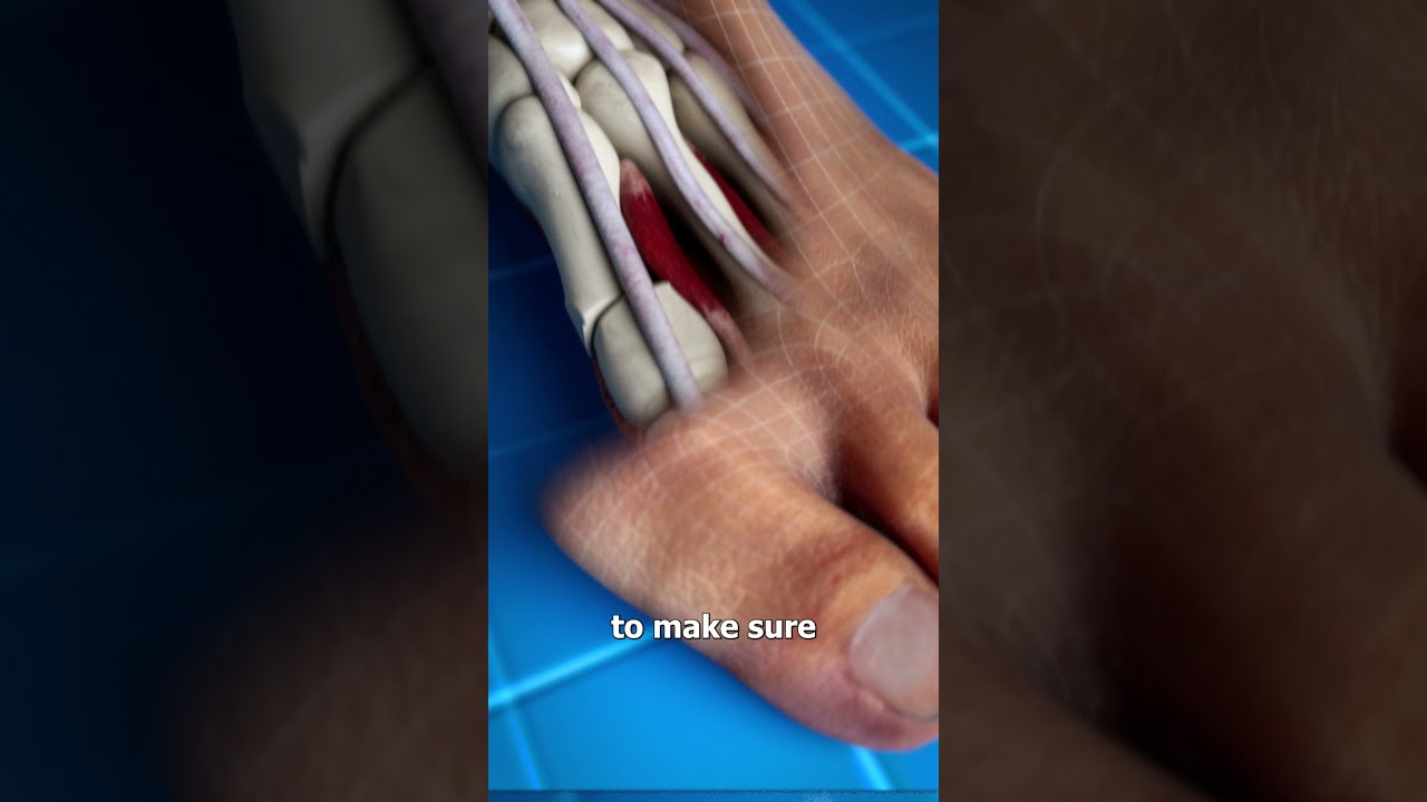 Download the Loose Change Watch movie from Mediafire