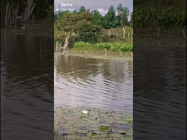 Download the Paranormal State Streaming series from Mediafire