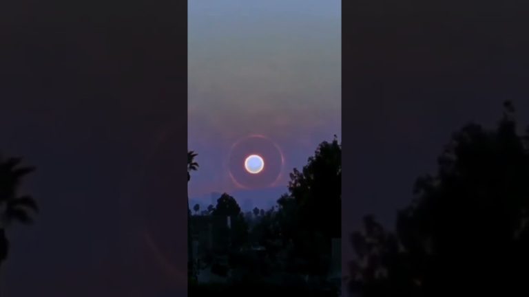 Download the Supernova Live Stream movie from Mediafire