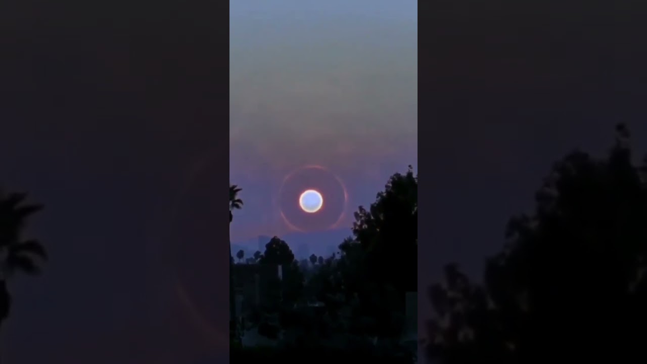 Download the Supernova Live Stream movie from Mediafire