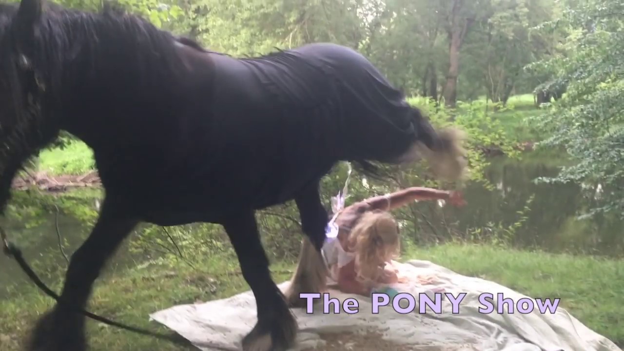 Download Life Plan A and B TV Show