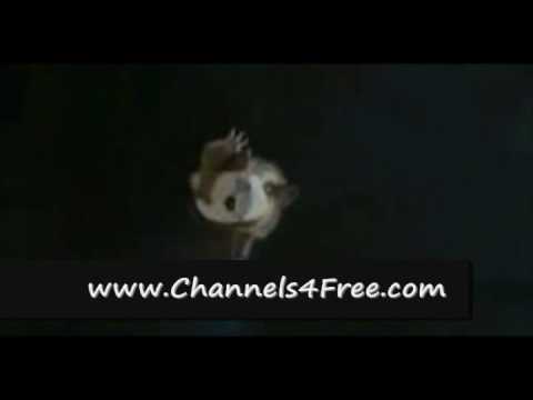 Download Paul Blart: Mall Cop Movie